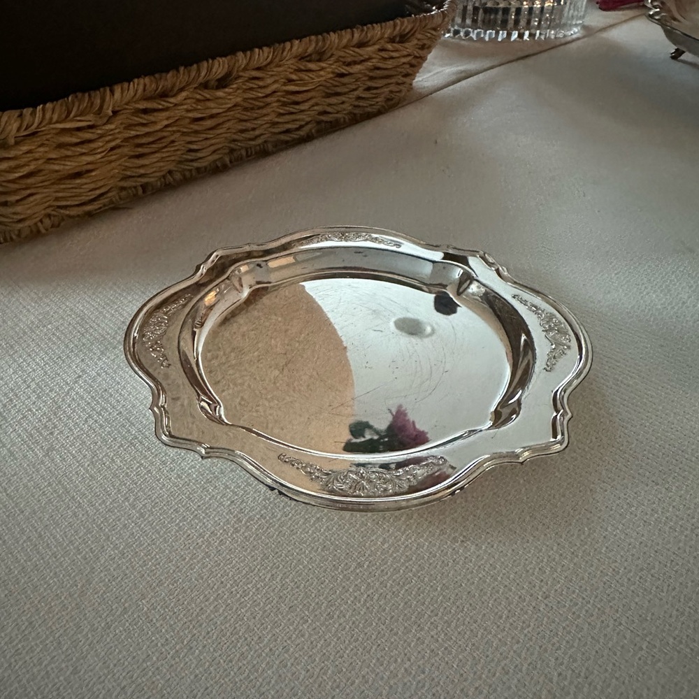 Elegant Silver Decorative Plate